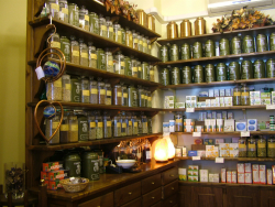 Italian herbalists