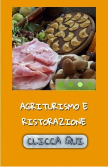 agriturismo_viantiqua_fidenza_ristorante_italy_eat_food