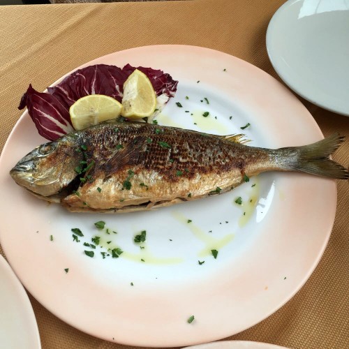 Trattoria_da_maria_giuseppa_Castelsardo_pesce_griglia_italy_eat_food