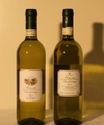 Piemonte Chardonnay