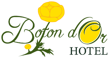 HOTEL BOTON D'OR & WELLNESS logo_italy_eat_food