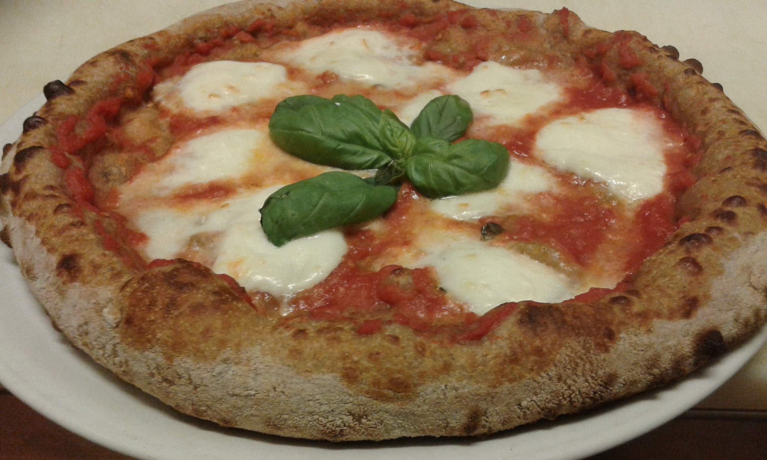 le_cento_pizze_d_&_v_alghero_pizza_mozzarella_di_bufala