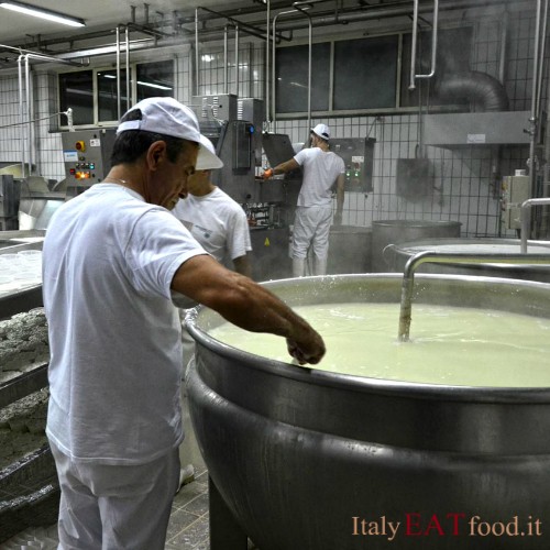 caseificio_stella_fisciano_salerno_produzione_ricotte_mozzarelle_lavorazione_latte_crudo_italy_eat_food