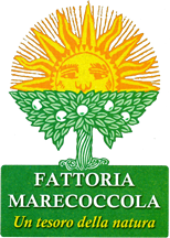 Aziende_agricole_napoli_fattoria_marecoccola_logo