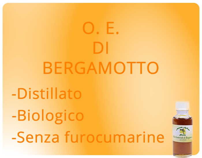 Produzione_bergamotto_azienda_agricola_patea_oli_distillati_di_bergamotto_brancaleoone_reggio_calabria_italy_eat_food