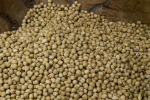 Manufacturers chickpeas